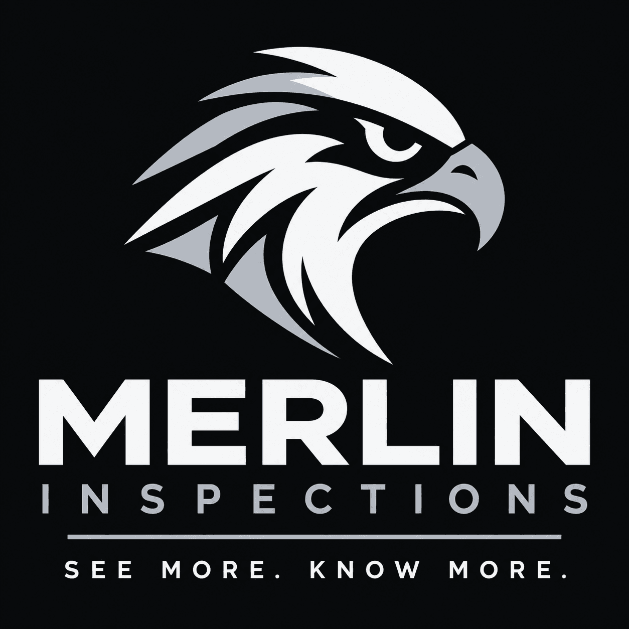 Merlin Inspections — See more. Know more.